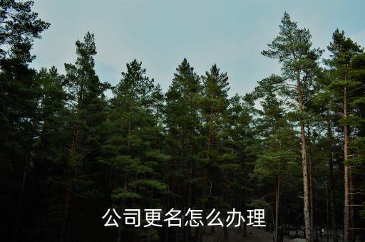  公司更名怎么辦理