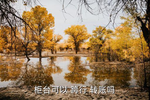 柜臺可以 跨行 轉(zhuǎn)賬嗎