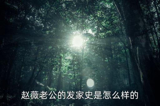 趙薇老公的發(fā)家史是怎么樣的