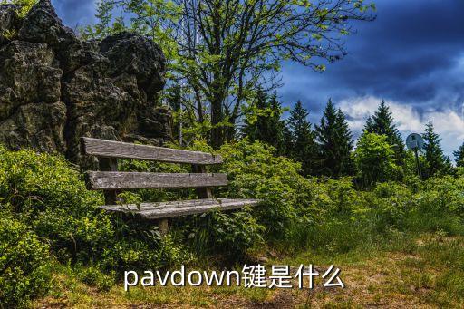  pavdown鍵是什么