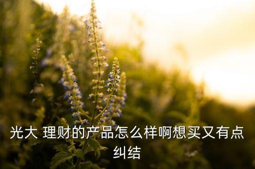 光大 理財(cái)?shù)漠a(chǎn)品怎么樣啊想買又有點(diǎn)糾結(jié)