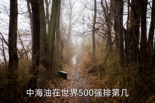 中海油在世界500強排第幾