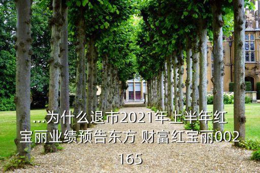 ...為什么退市2021年上半年紅寶麗業(yè)績(jī)預(yù)告東方 財(cái)富紅寶麗002165