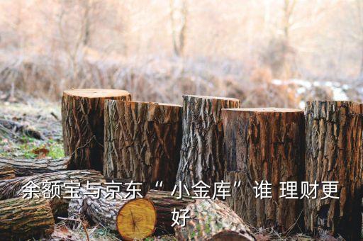 小金庫(kù)理財(cái)公司,用小金庫(kù)理財(cái)受處分案例