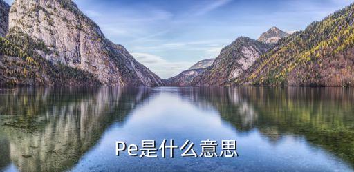 PE母基金,pe私募股權(quán)投資基金