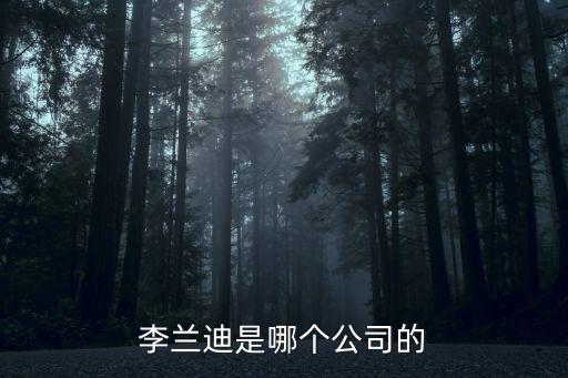 李蘭迪是哪個(gè)公司的