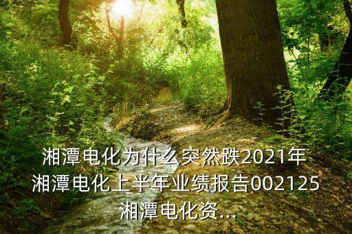  湘潭電化為什么突然跌2021年 湘潭電化上半年業(yè)績報告002125 湘潭電化資...