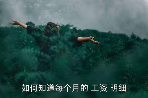 如何知道每個月的 工資 明細