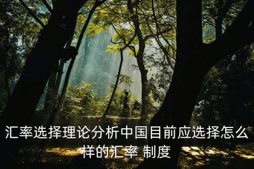 匯率選擇理論分析中國目前應(yīng)選擇怎么樣的匯率 制度