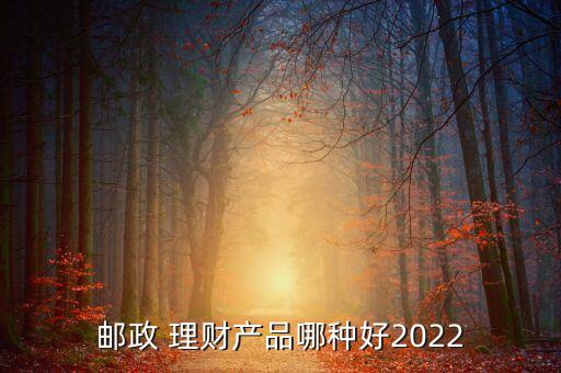 郵政 理財(cái)產(chǎn)品哪種好2022