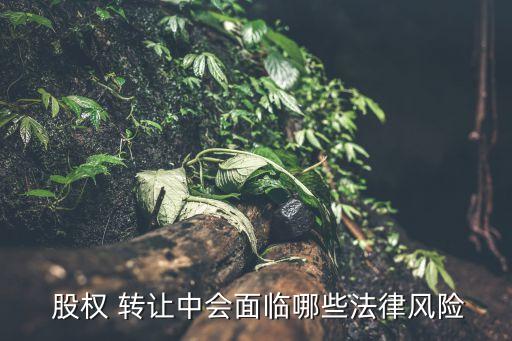  股權(quán) 轉(zhuǎn)讓中會面臨哪些法律風(fēng)險