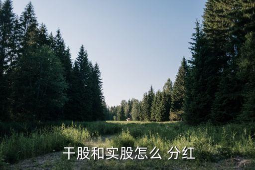 公司獎勵干股分紅比例,技術(shù)干股分紅比例是怎么算