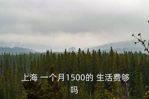  上海 一個(gè)月1500的 生活費(fèi)夠嗎