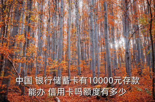 中國 銀行儲(chǔ)蓄卡有10000元存款能辦 信用卡嗎額度有多少