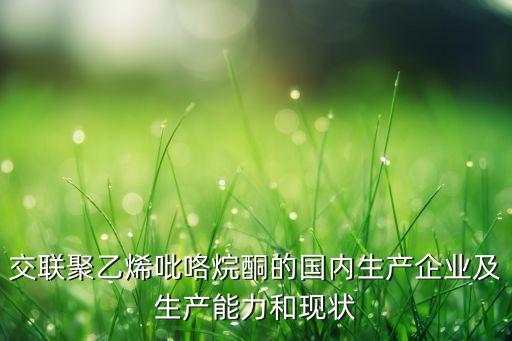 交聯(lián)聚乙烯吡咯烷酮的國(guó)內(nèi)生產(chǎn)企業(yè)及生產(chǎn)能力和現(xiàn)狀