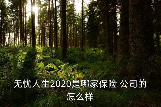 無憂人生2020是哪家保險 公司的怎么樣