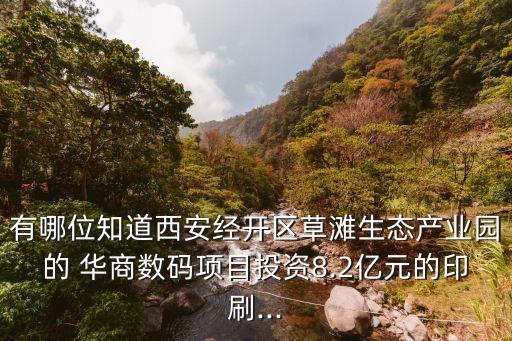 有哪位知道西安經(jīng)開(kāi)區(qū)草灘生態(tài)產(chǎn)業(yè)園的 華商數(shù)碼項(xiàng)目投資8.2億元的印刷...