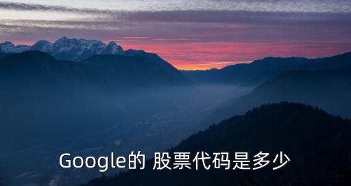 Google的 股票代碼是多少