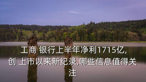  工商 銀行上半年凈利1715億,創(chuàng) 上市以來新紀(jì)錄,哪些信息值得關(guān)注