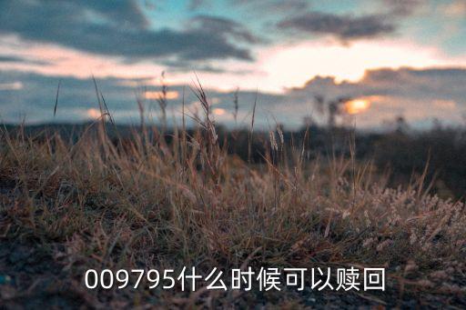  009795什么時候可以贖回