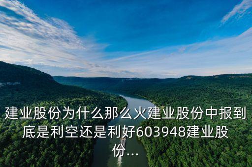 建業(yè)股份為什么那么火建業(yè)股份中報到底是利空還是利好603948建業(yè)股份...