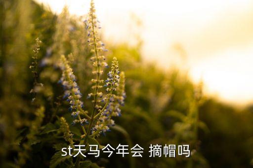 st天馬今年會(huì) 摘帽嗎