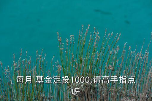 每月 基金定投1000,請高手指點呀