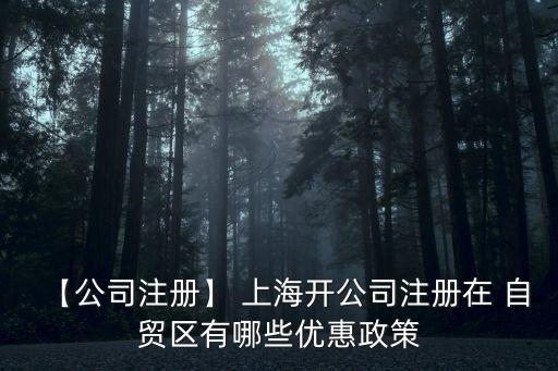 上海自貿(mào)區(qū)報(bào)稅點(diǎn)