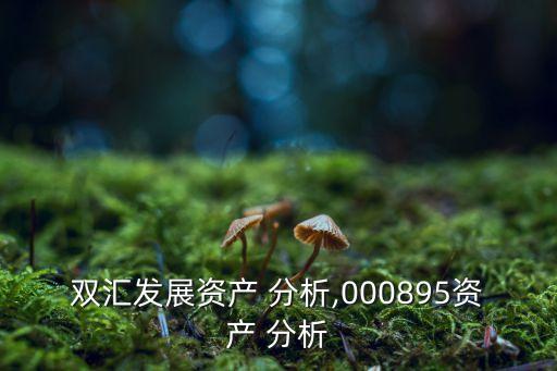 雙匯發(fā)展資產(chǎn) 分析,000895資產(chǎn) 分析