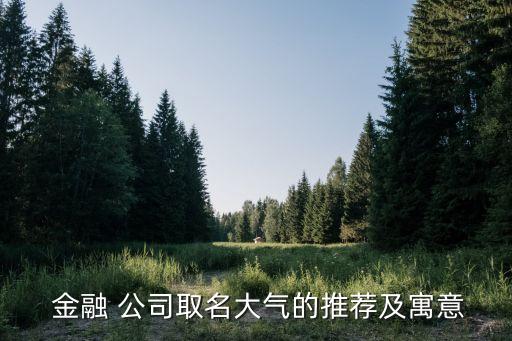 金融投資服務(wù)類公司起名,咨詢服務(wù)類公司起名