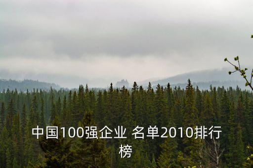 中國100強(qiáng)企業(yè) 名單2010排行榜