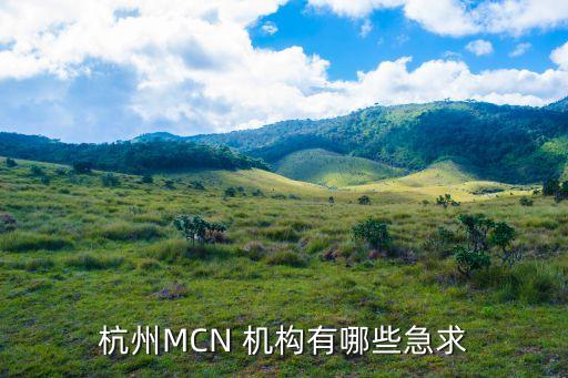 杭州MCN 機構有哪些急求