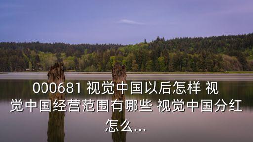 000681 視覺中國以后怎樣 視覺中國經營范圍有哪些 視覺中國分紅怎么...