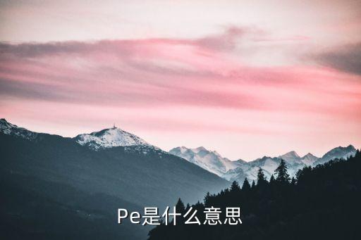 Pe是什么意思