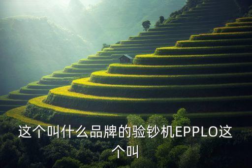 這個叫什么品牌的驗鈔機(jī)EPPLO這個叫