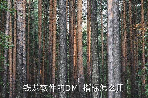 錢龍軟件的DMI 指標(biāo)怎么用