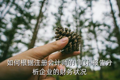 如何根據(jù)注冊(cè)會(huì)計(jì)師的 審計(jì) 報(bào)告分析企業(yè)的財(cái)務(wù)狀況