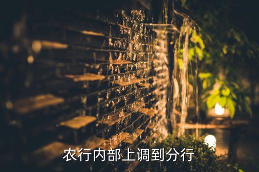 農(nóng)行內(nèi)部上調(diào)到分行