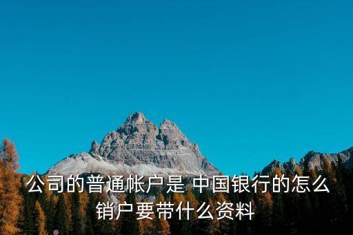  公司的普通帳戶是 中國銀行的怎么銷戶要帶什么資料