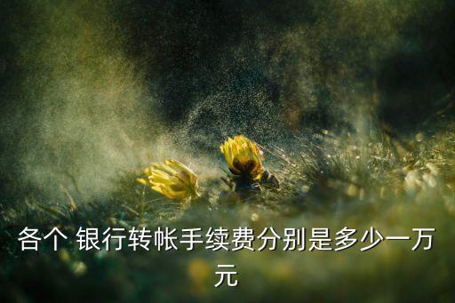 各個 銀行轉(zhuǎn)帳手續(xù)費分別是多少一萬元