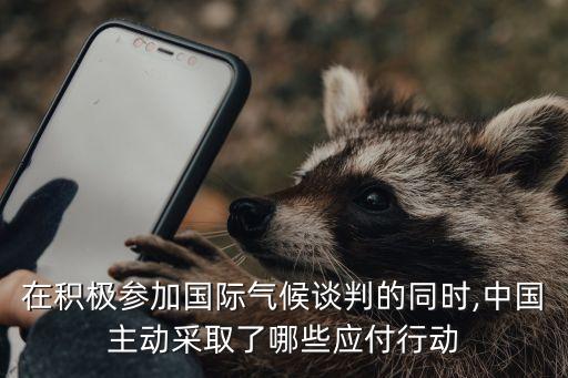 中美低碳能源基金會