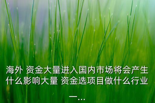 海外 資金大量進入國內(nèi)市場將會產(chǎn)生什么影響大量 資金選項目做什么行業(yè)一...