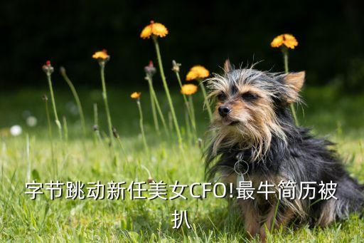 中國十大國際cfo