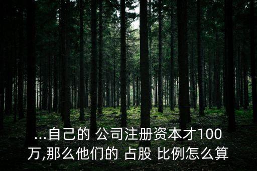 ...自己的 公司注冊資本才100萬,那么他們的 占股 比例怎么算