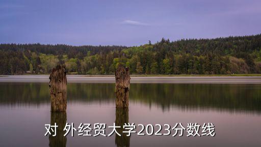 對 外經(jīng)貿(mào)大學(xué)2023分?jǐn)?shù)線