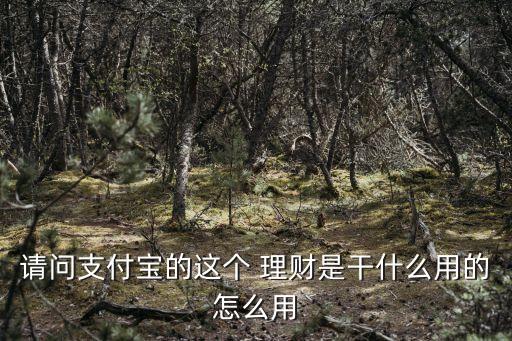 余額寶投資國債理財(cái),理財(cái)專家建議,在投資國債之外