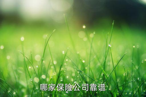 哪家保險(xiǎn)公司靠譜