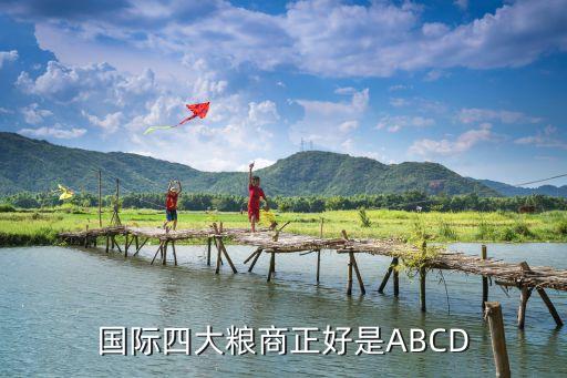 國際四大糧商正好是ABCD