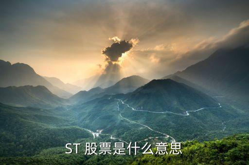 ST 股票是什么意思