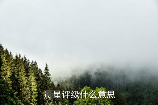  晨星評級什么意思